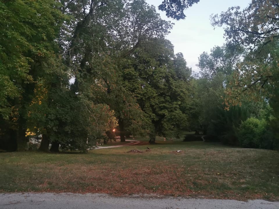 Garden view