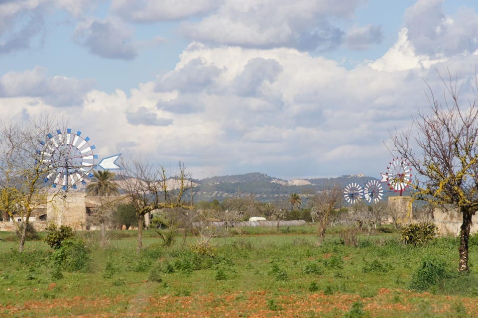 Nearby landmark, Natural landscape