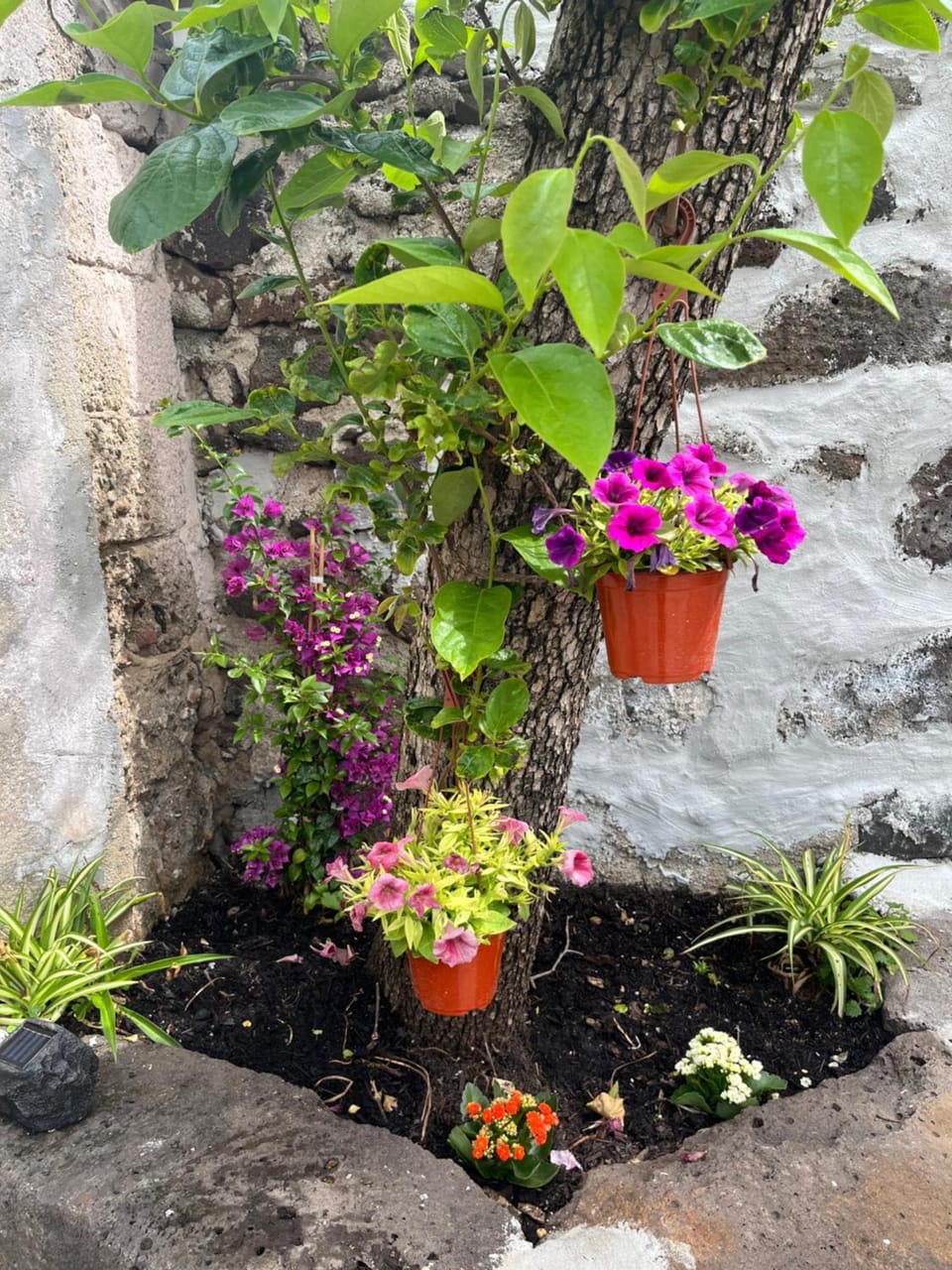 Garden, Garden