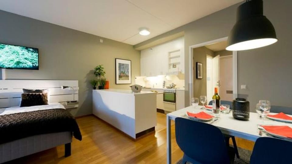 Bed, TV and multimedia, Kitchen or kitchenette, Living room, Photo of the whole room, Seating area, Dining area, Bedroom, acessibility