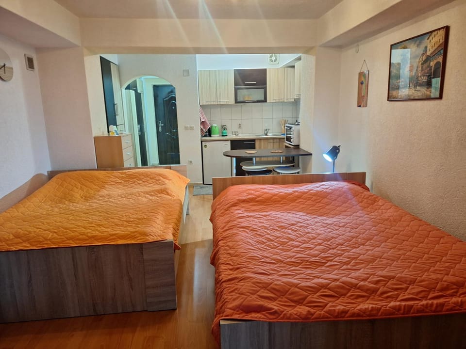 Darvik Apartment in Ohrid