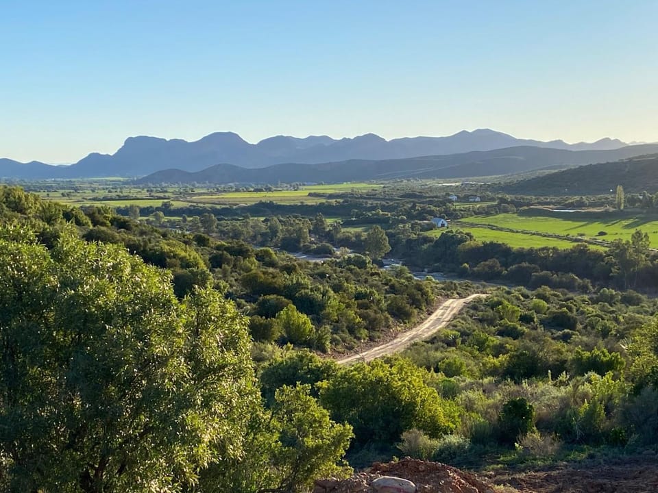 Natural landscape, Garden