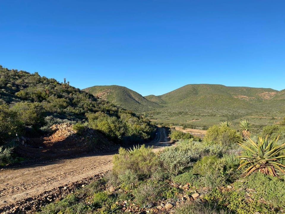 Natural landscape, Garden