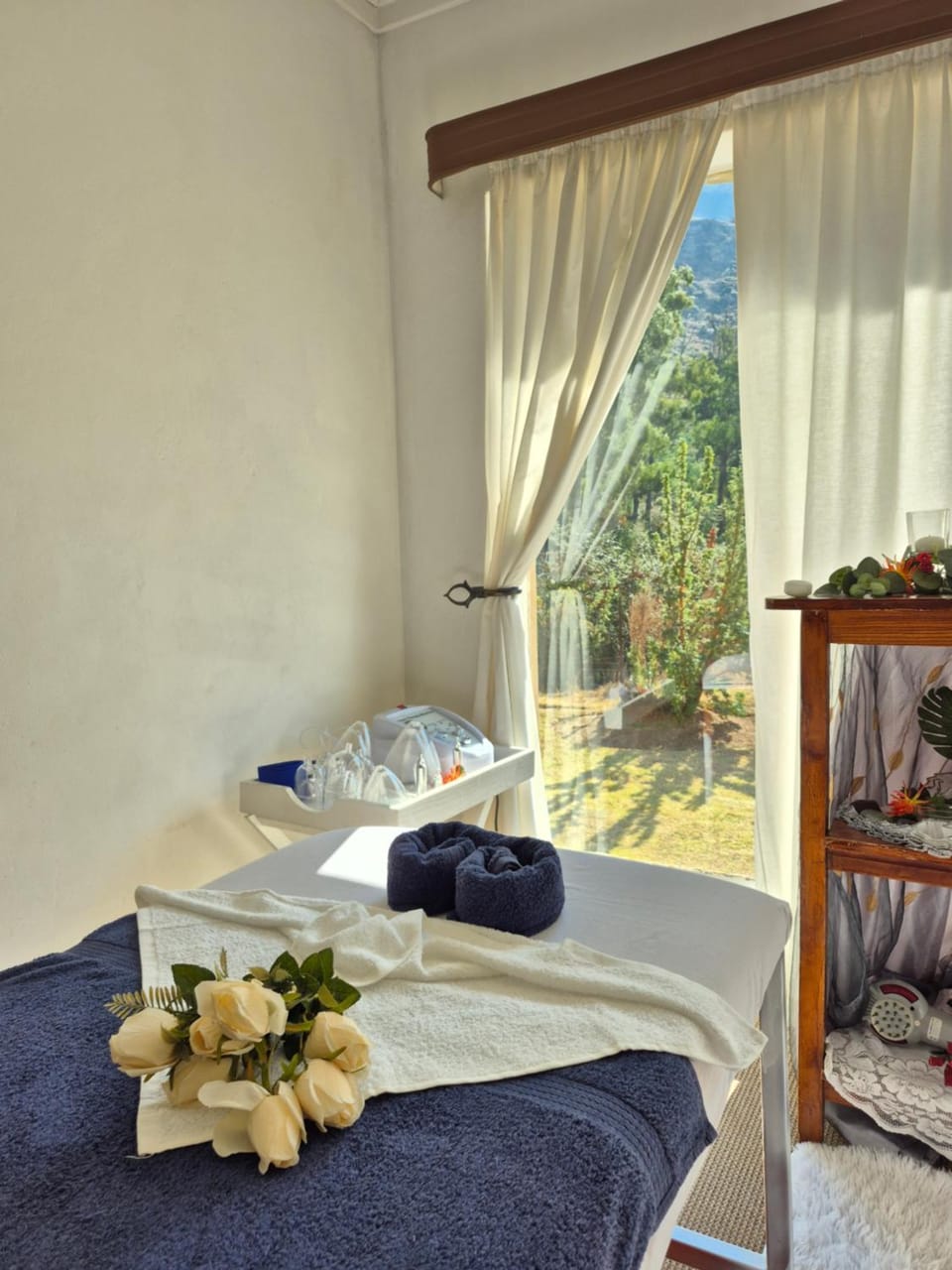 Massage, Spa and wellness centre/facilities