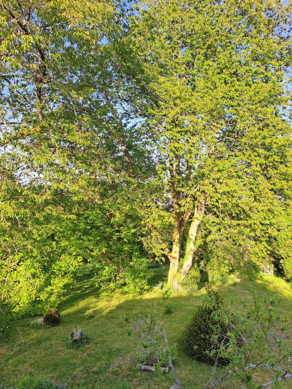 Le Clos Ginette cozy cottage with private spa House in Centre-Val de Loire