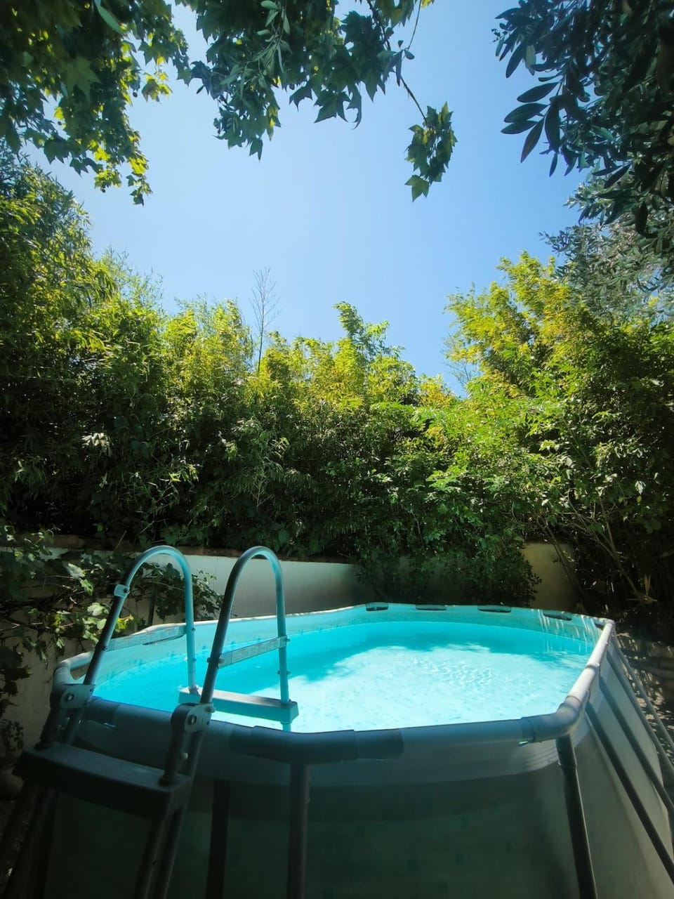 Maisons provençale piscine et jacuzzi Villa in Le Pontet