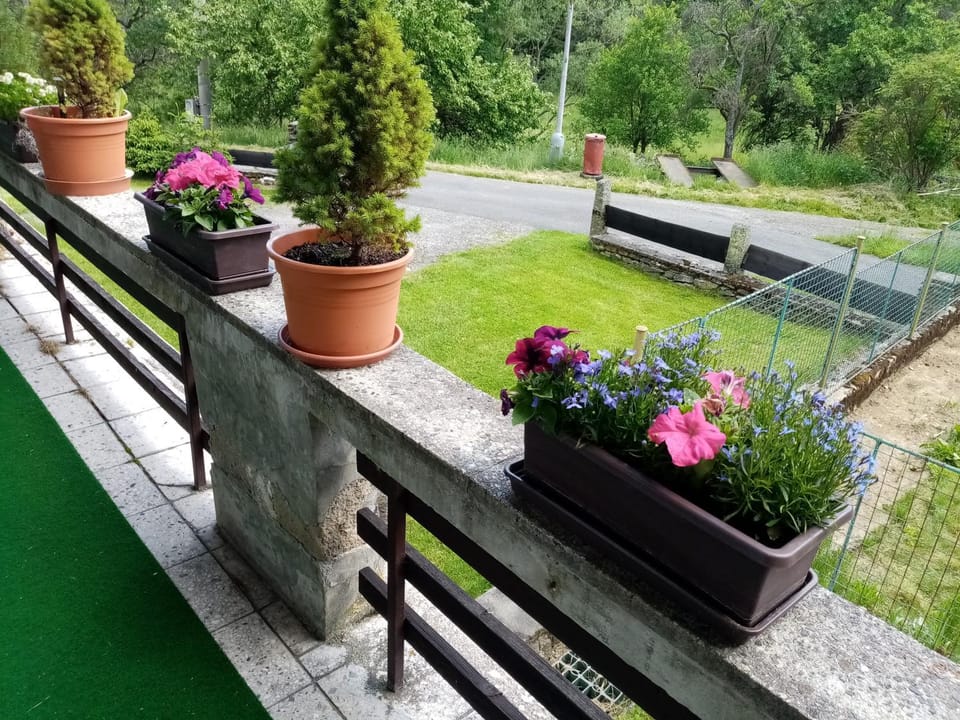 Chata Johanka Country House in South Bohemian Region