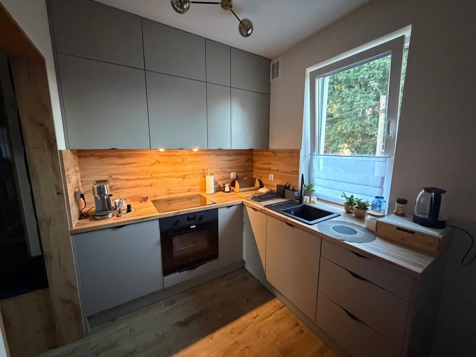Apartament Żurawie Apartment in Greater Poland Voivodeship