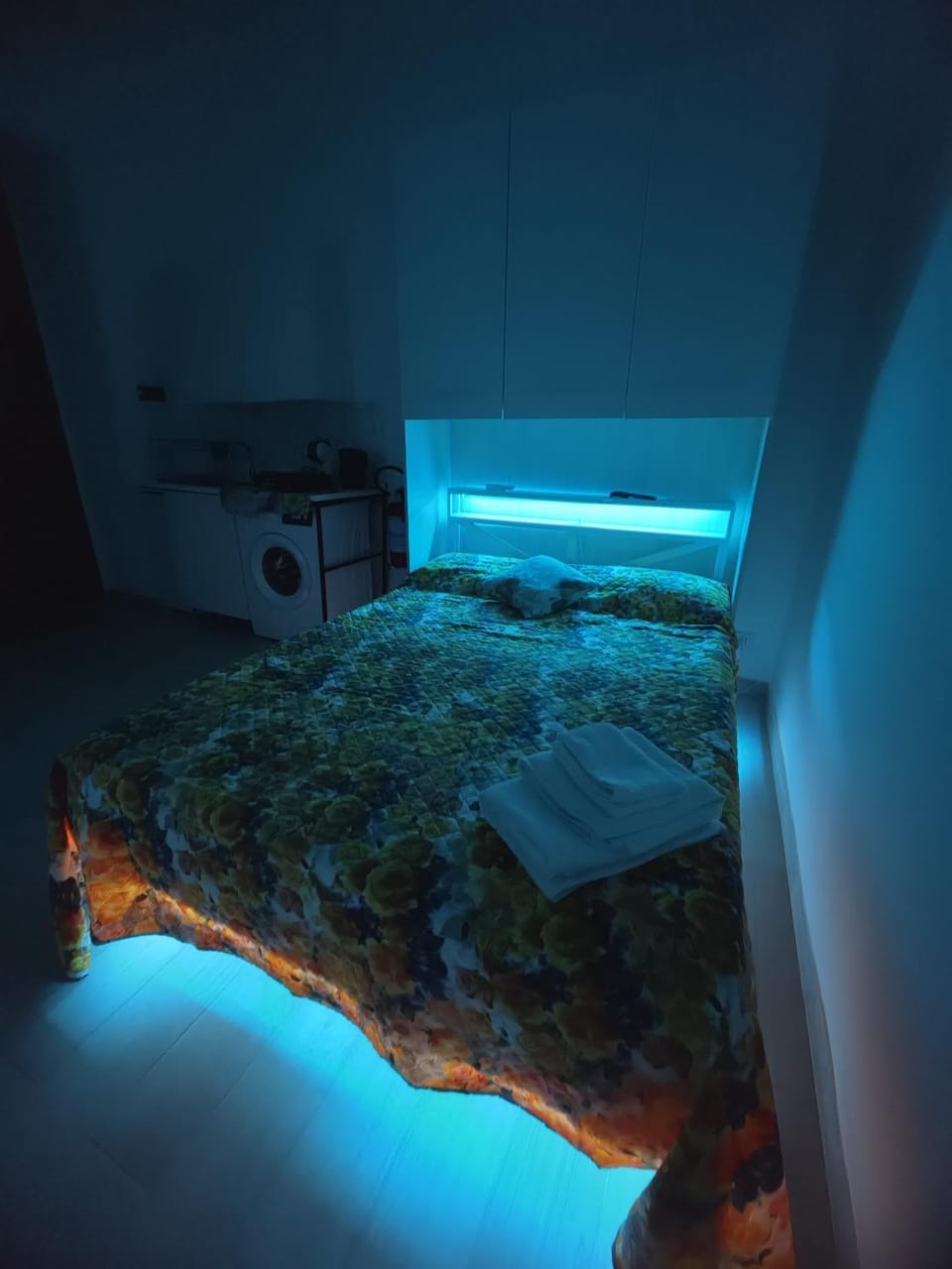Bedroom, kitchen