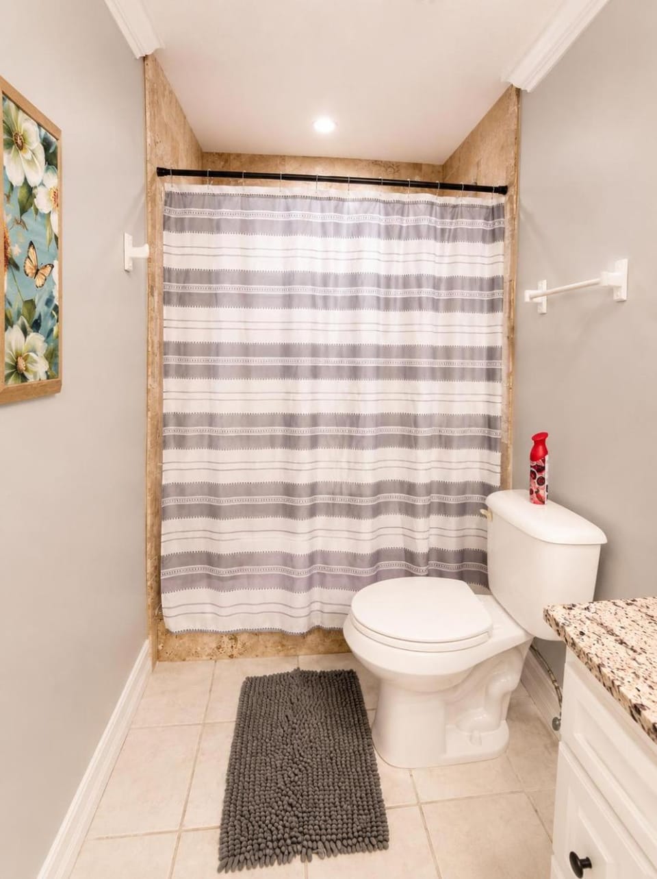 Guest Apartment 2B 1B by Citrus Park mall area Apartment in Citrus Park