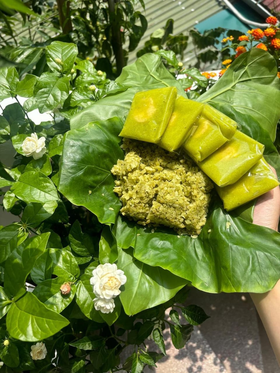 Sun Maison, 2 căn liền ban công, 1 phút đi bộ đến hồ Hoàn Kiếm House in Hanoi