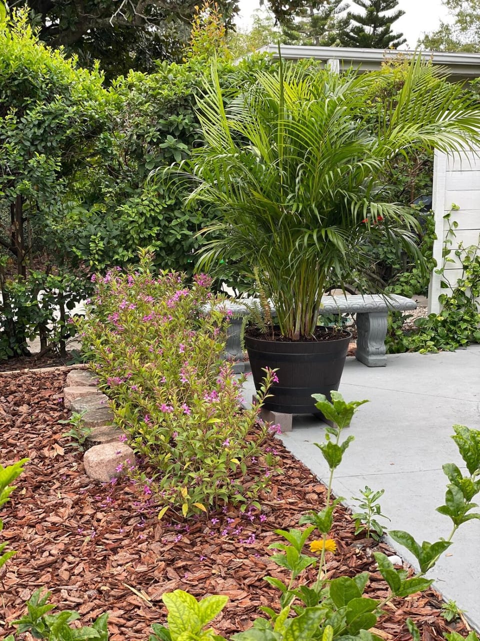 Garden, Garden view