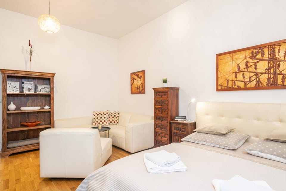 Apartmán pod Petrovem Apartment in Brno