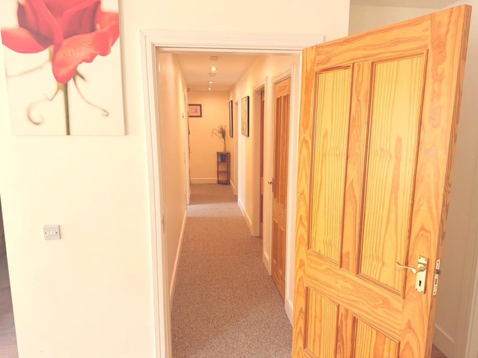 Cork Heaven Apartment in Cork City