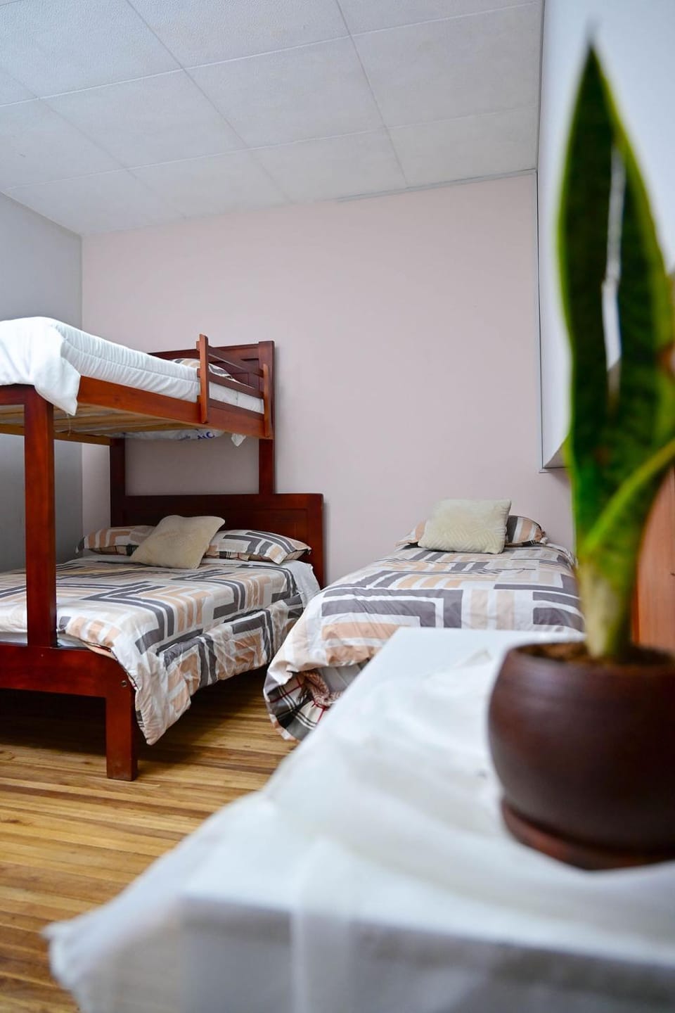 Casa Aida Victoria Apartment in Cuenca