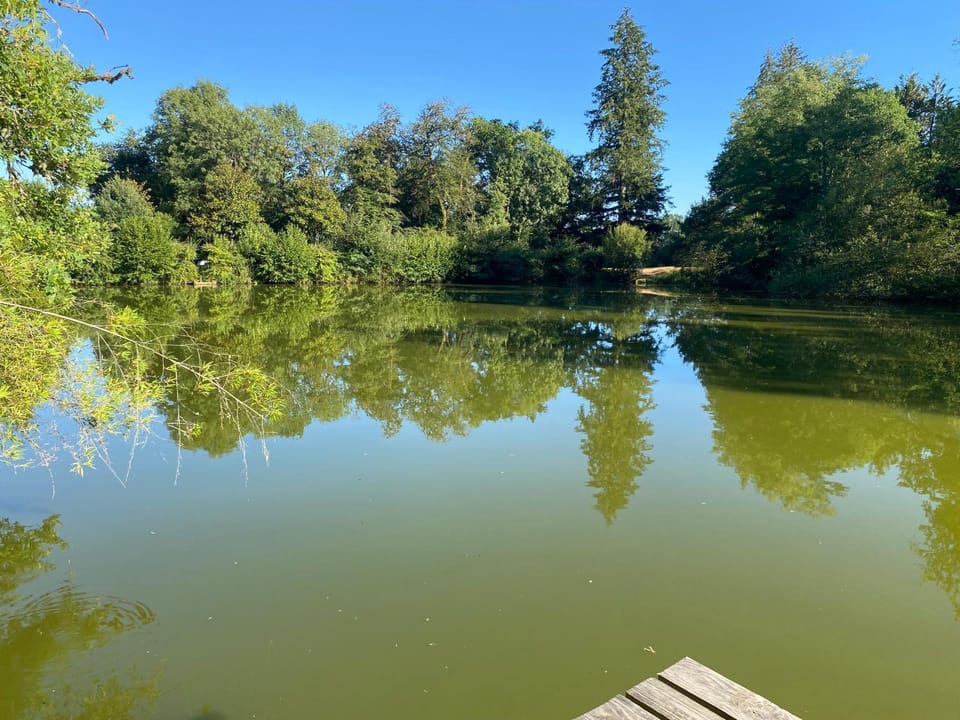 Lake view