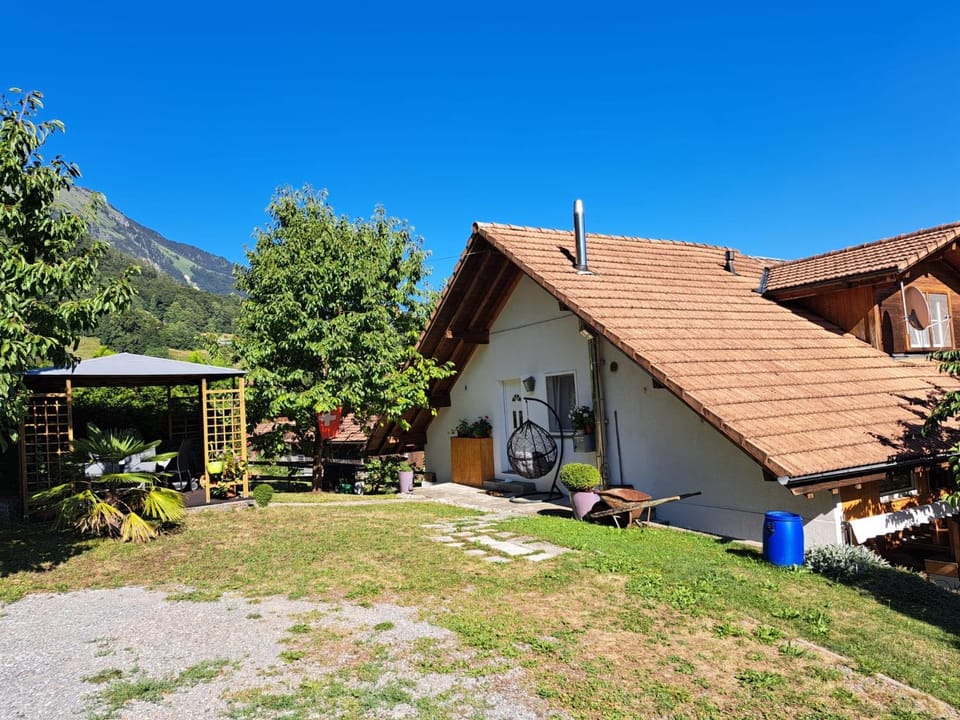 Property building, Garden, Garden view