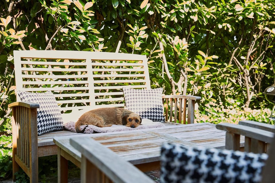 Balcony/Terrace, Pets