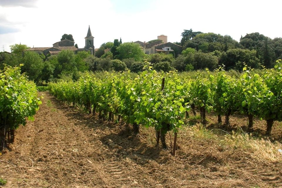 Balnéo pour 2 dans petit village proche mer & Montpellier Apartment in Occitanie
