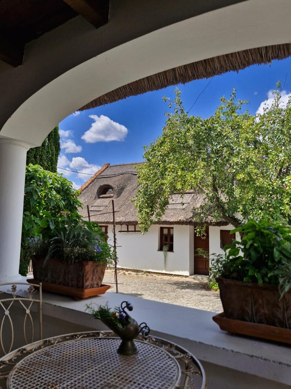 Garden view