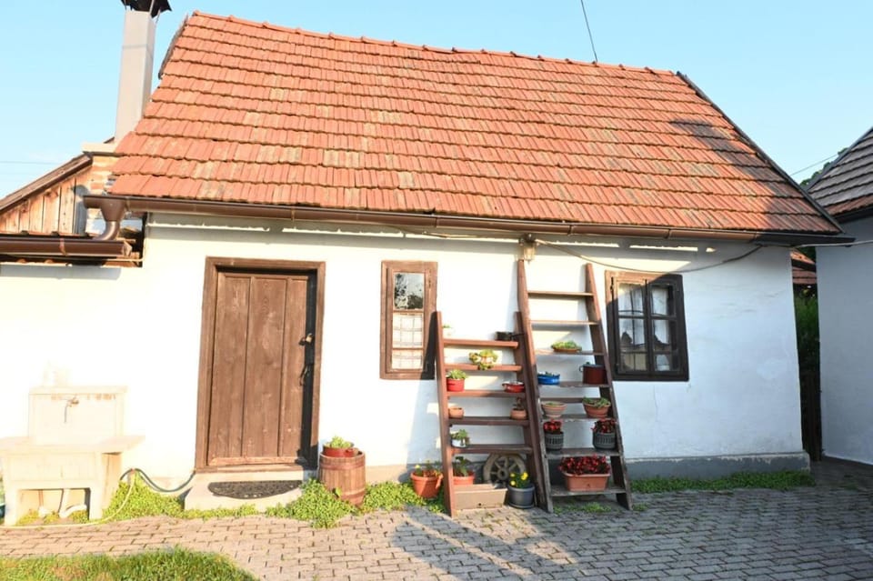 Green Retreat Apartment in Federation of Bosnia and Herzegovina