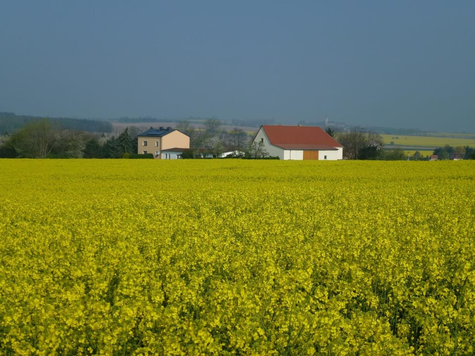 Natural landscape
