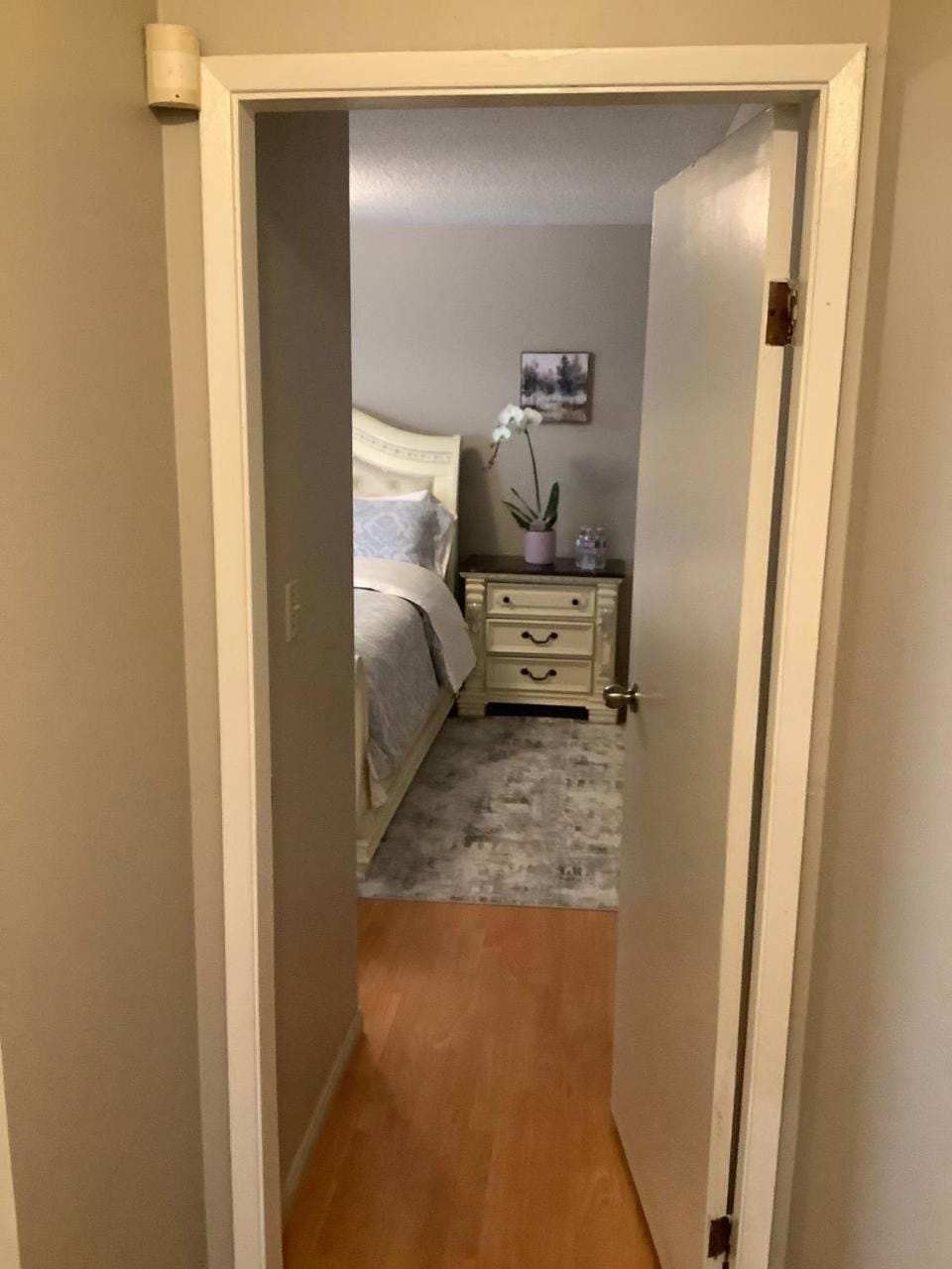 cozy nest of love Apartment in Port Coquitlam