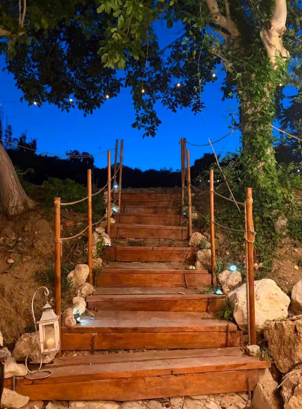 Little fox House in Abruzzo