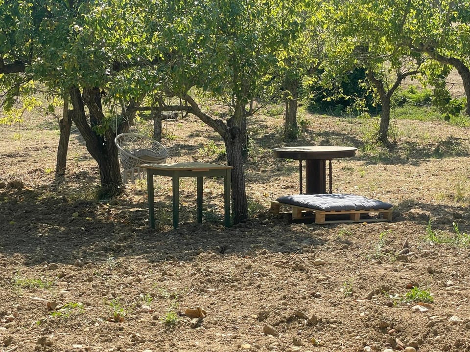 Little fox House in Abruzzo