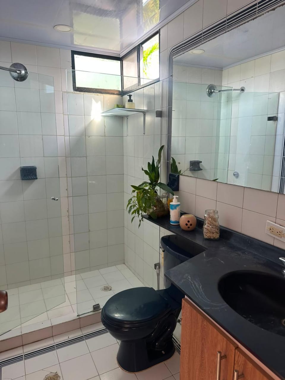 Shower, Toilet