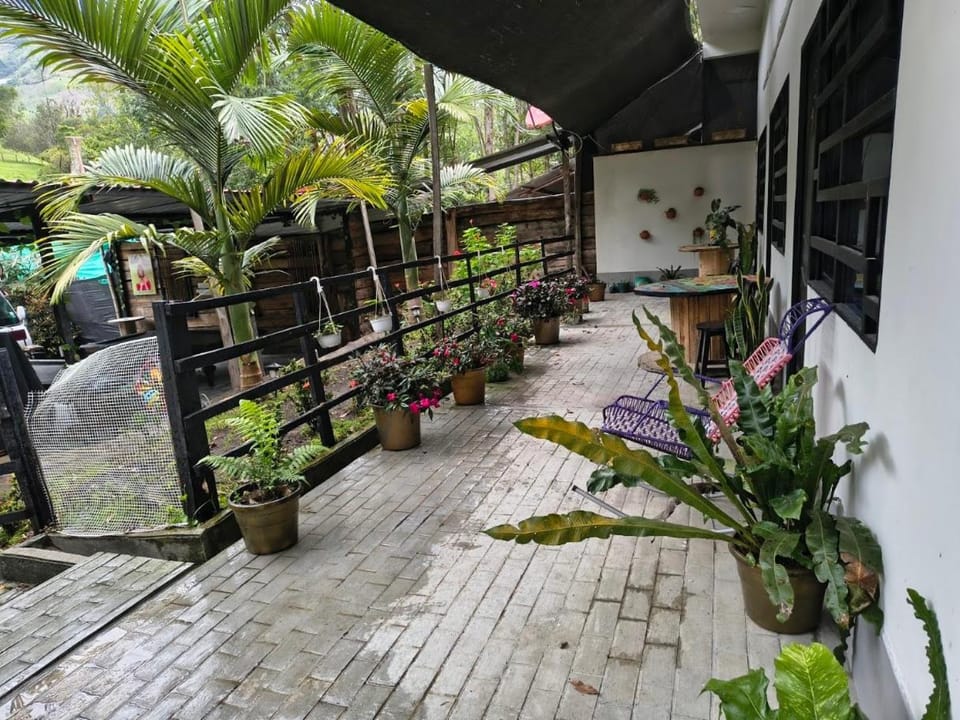 Patio, Day, Garden view