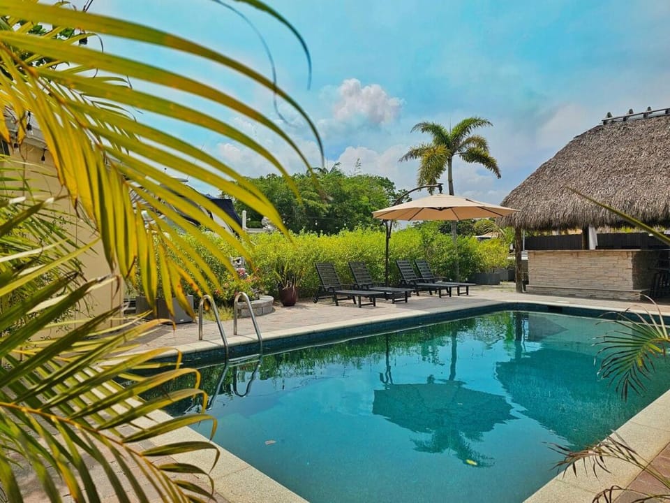 Day, Balcony/Terrace, Pool view, Swimming pool, sunbed