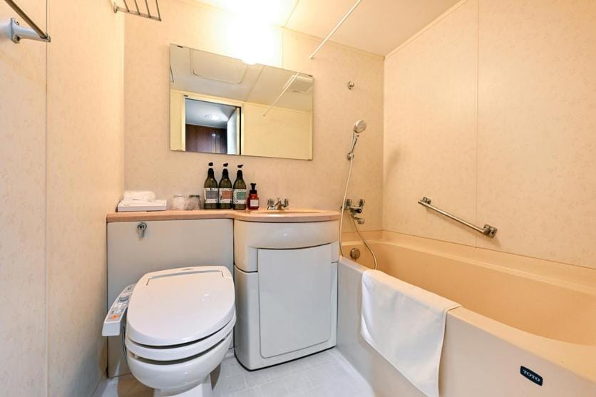 Shower, Toilet, Bathroom, Bath, towels