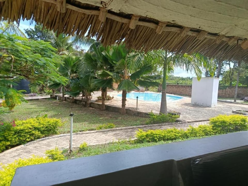 Garden, Garden, Garden view, Pool view, Swimming pool