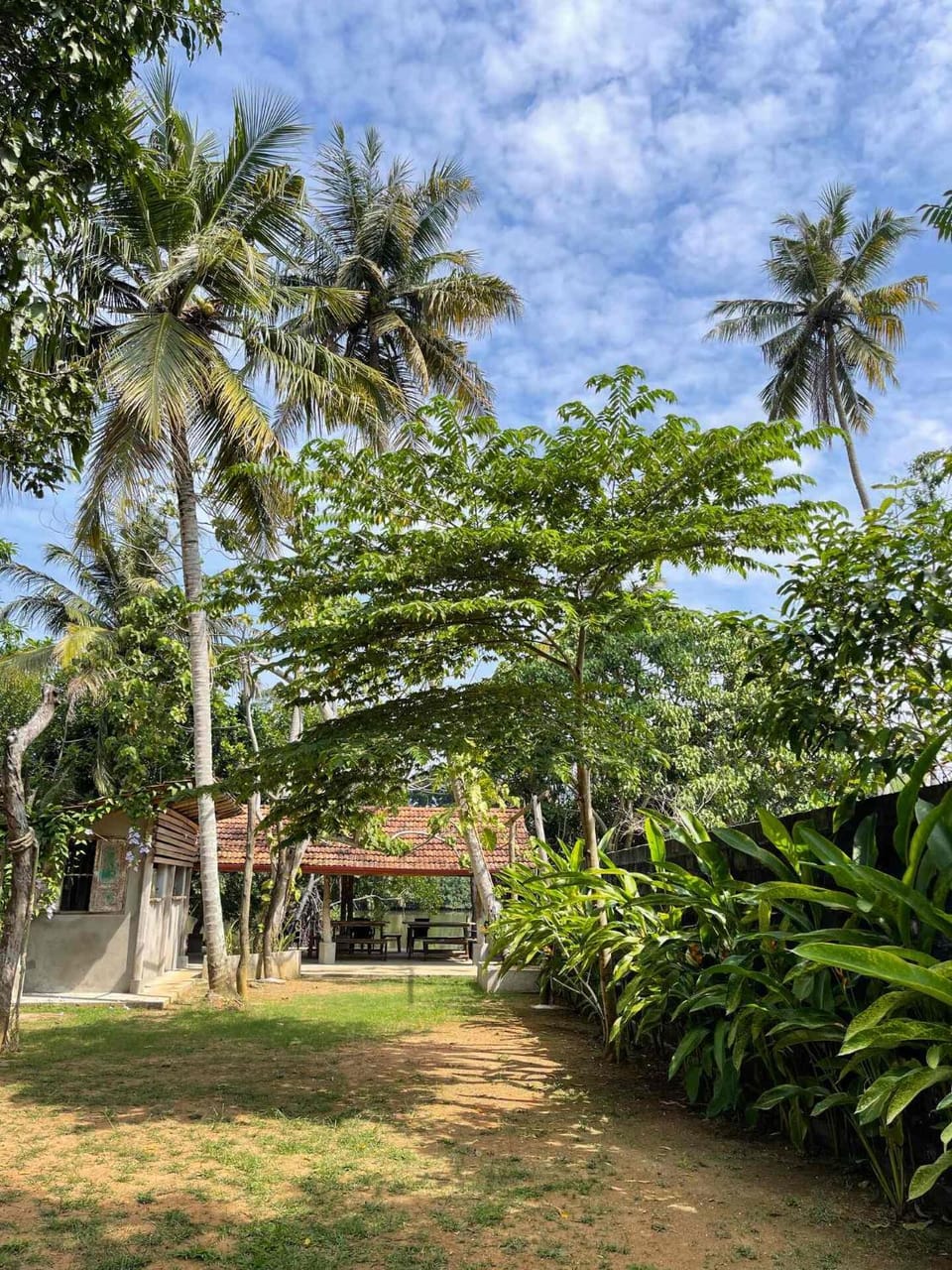 Natural landscape, Garden