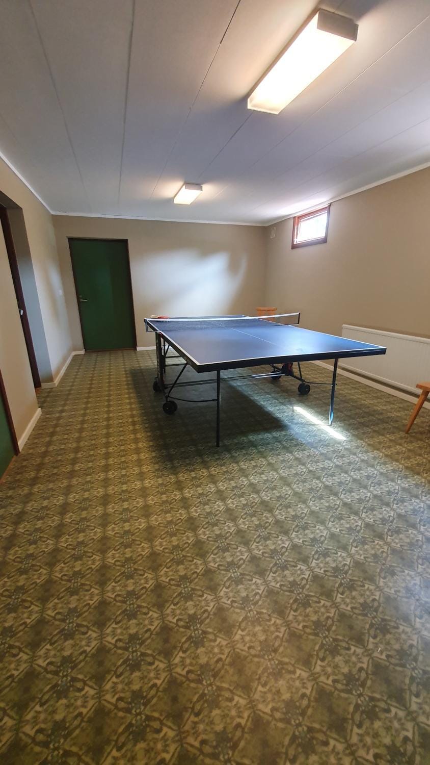 Table tennis
