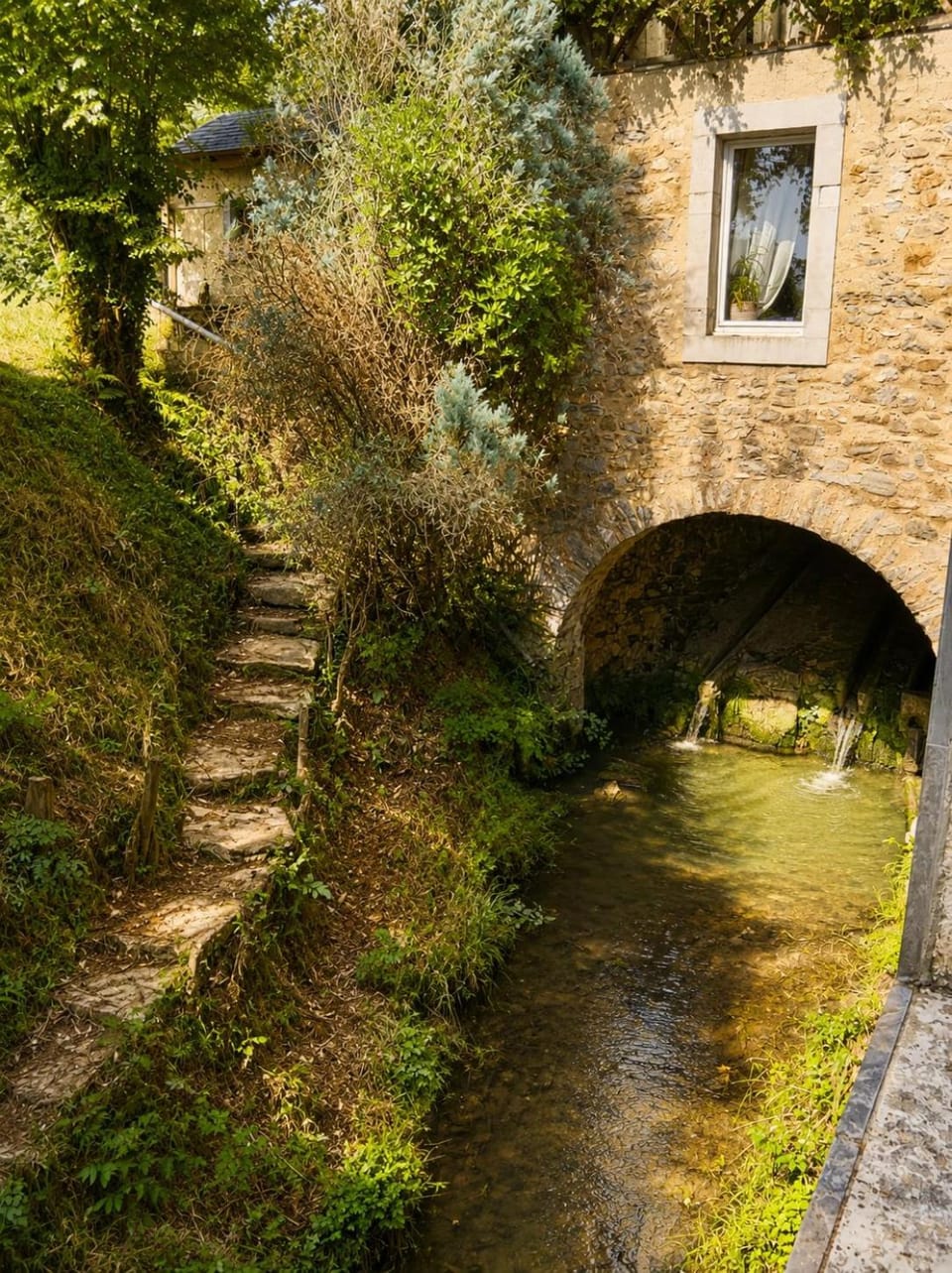 Natural landscape, River view