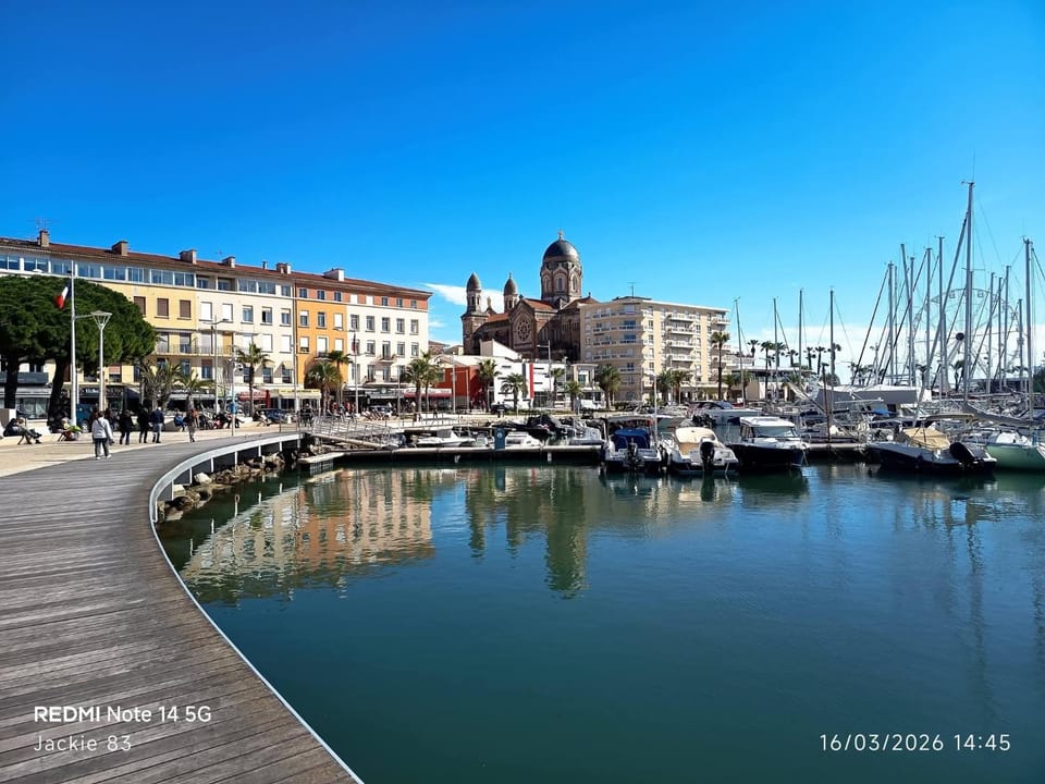 La Palme D'or Apartment in Saint-Raphael