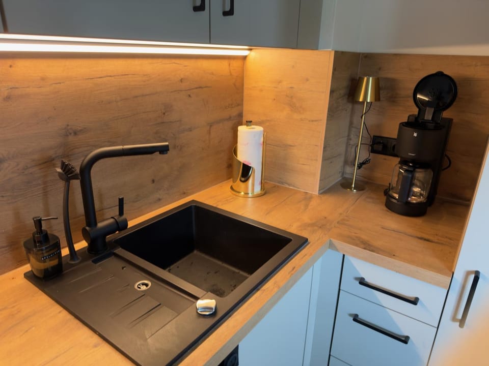 Kitchen or kitchenette, kitchen