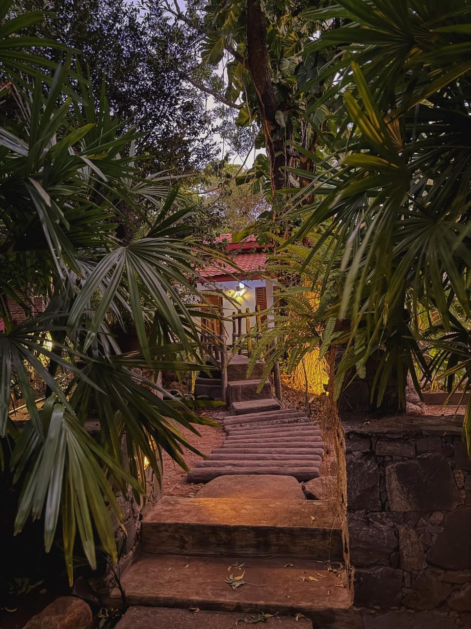 Natural landscape, Garden view