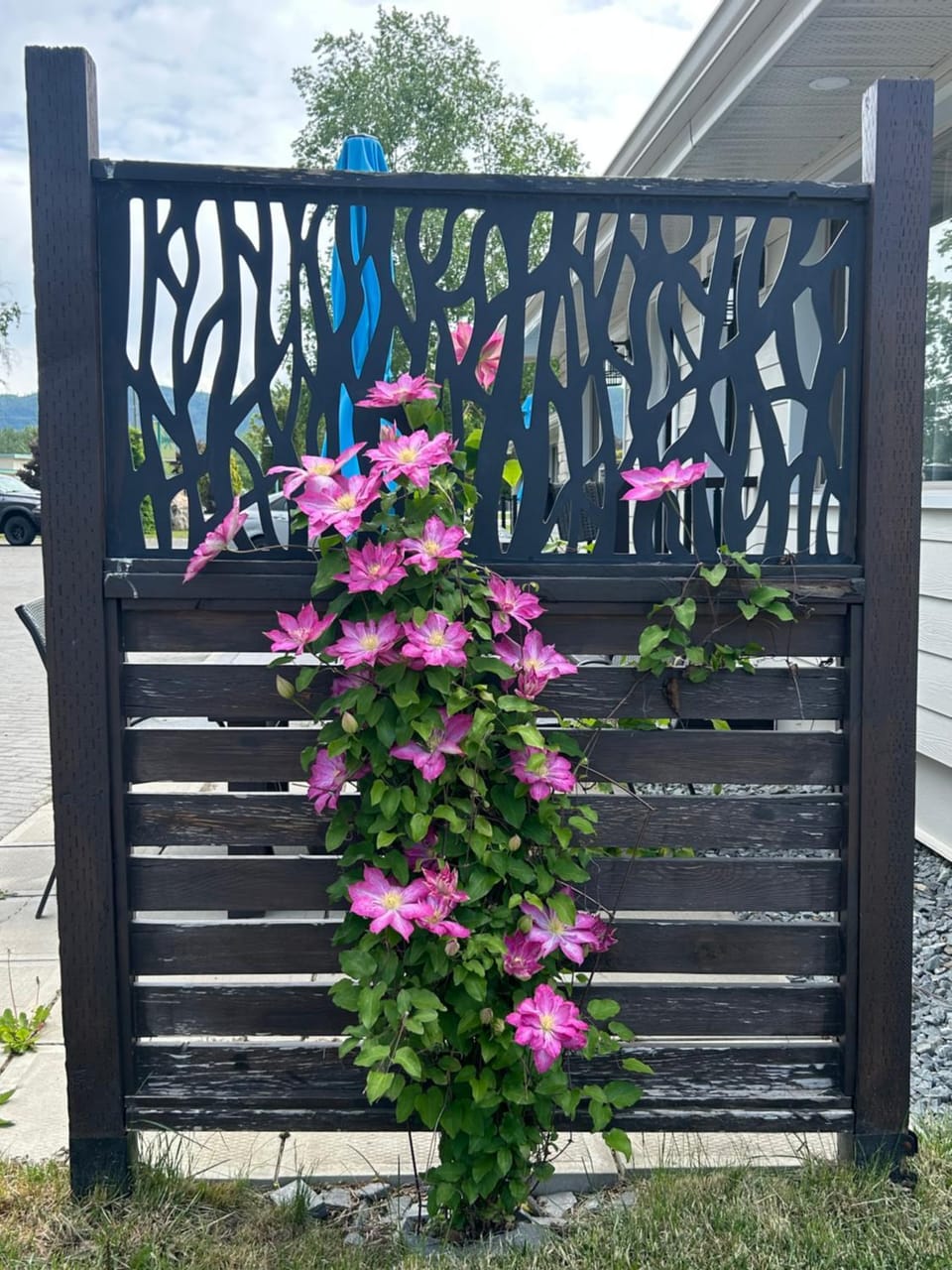 Spring, Day, Garden, Garden view