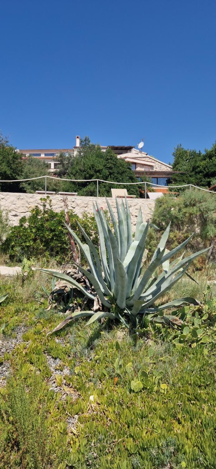 Property building, Natural landscape