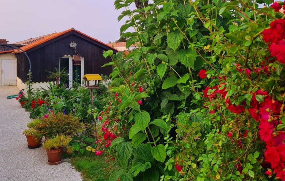 Cabane & Jardin Bed and Breakfast in Nouvelle-Aquitaine