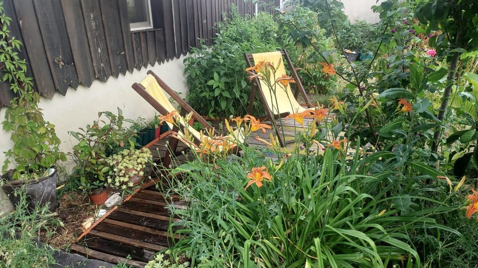 Cabane & Jardin Bed and Breakfast in Nouvelle-Aquitaine