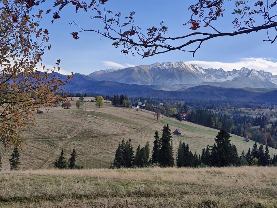 CZERNIK HOUSE & APARTAMENT Poronin - Jacuzzi & Gorąca Balia House in Zakopane