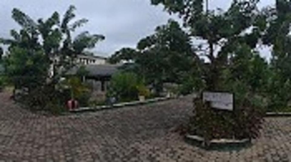 Day, Garden, Garden view