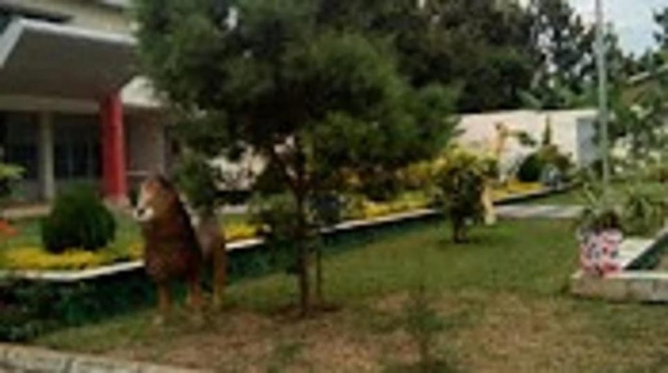 Natural landscape, Garden, Garden view