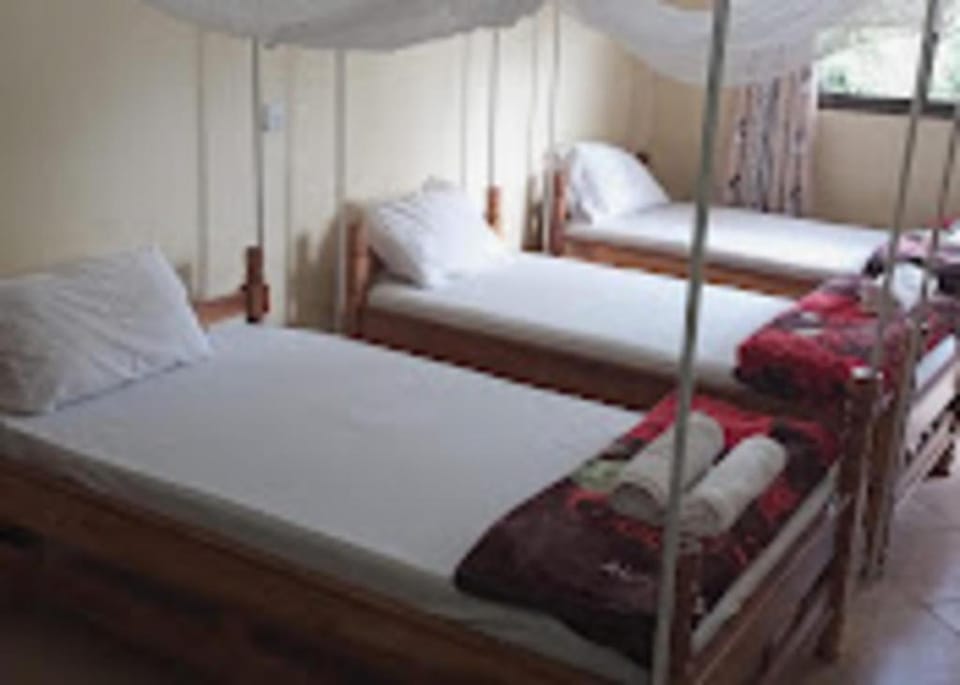 Bed, Photo of the whole room, Bedroom, bunk bed