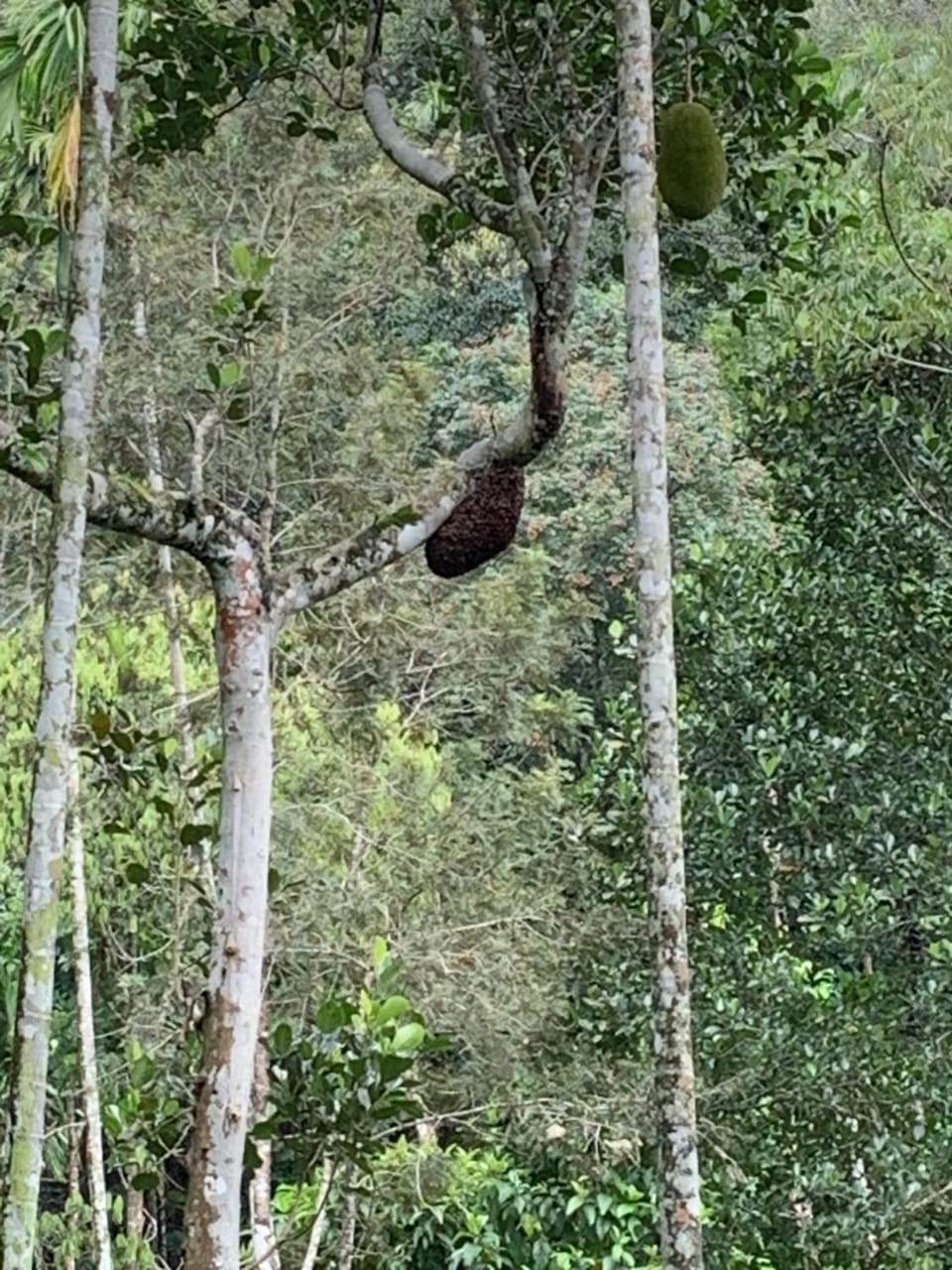 L&G Riverview Haven. Hotel in Kerala