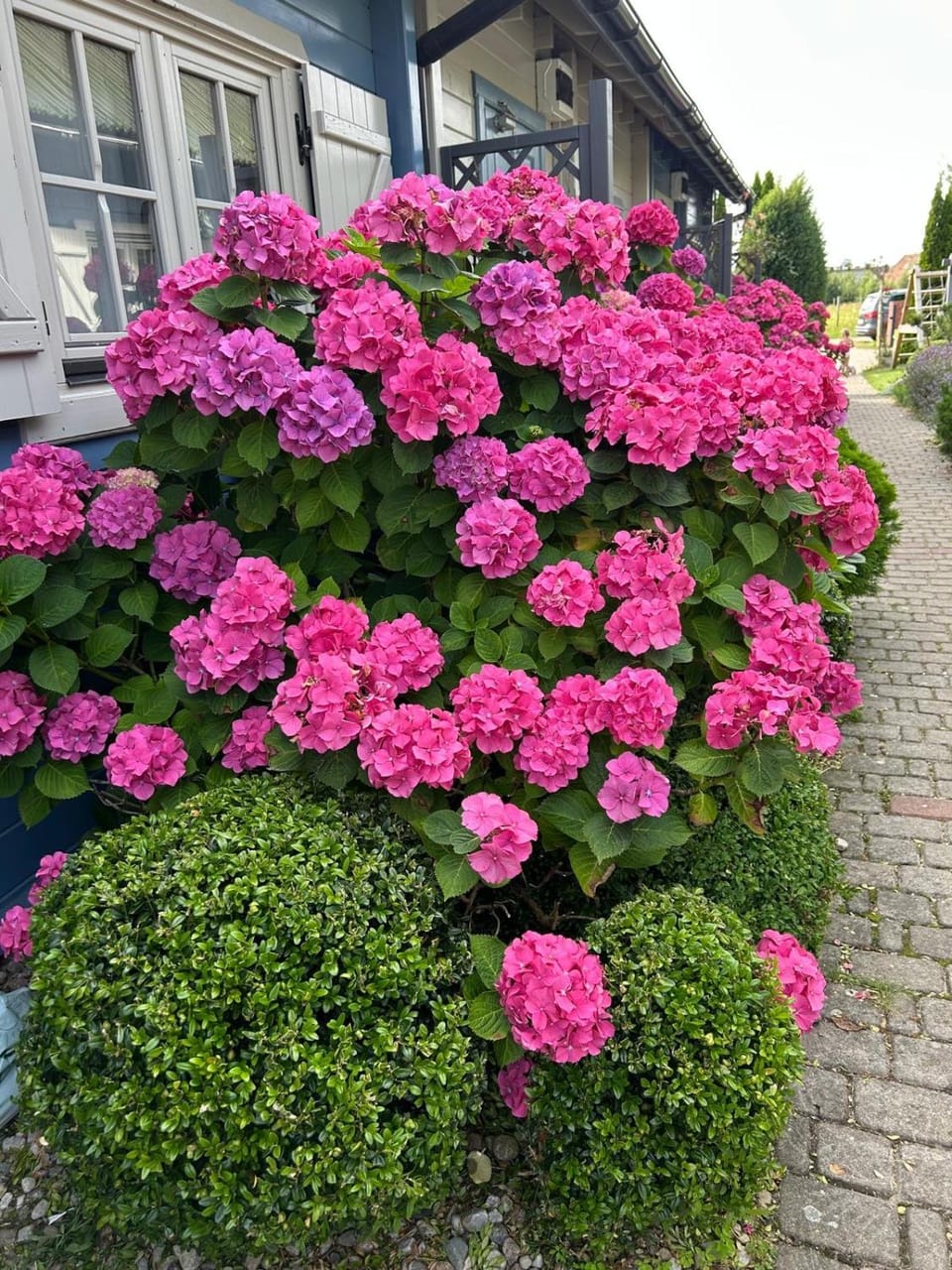 Domki Letniskowe Albatros Nature lodge in West Pomeranian Voivodeship, Poland